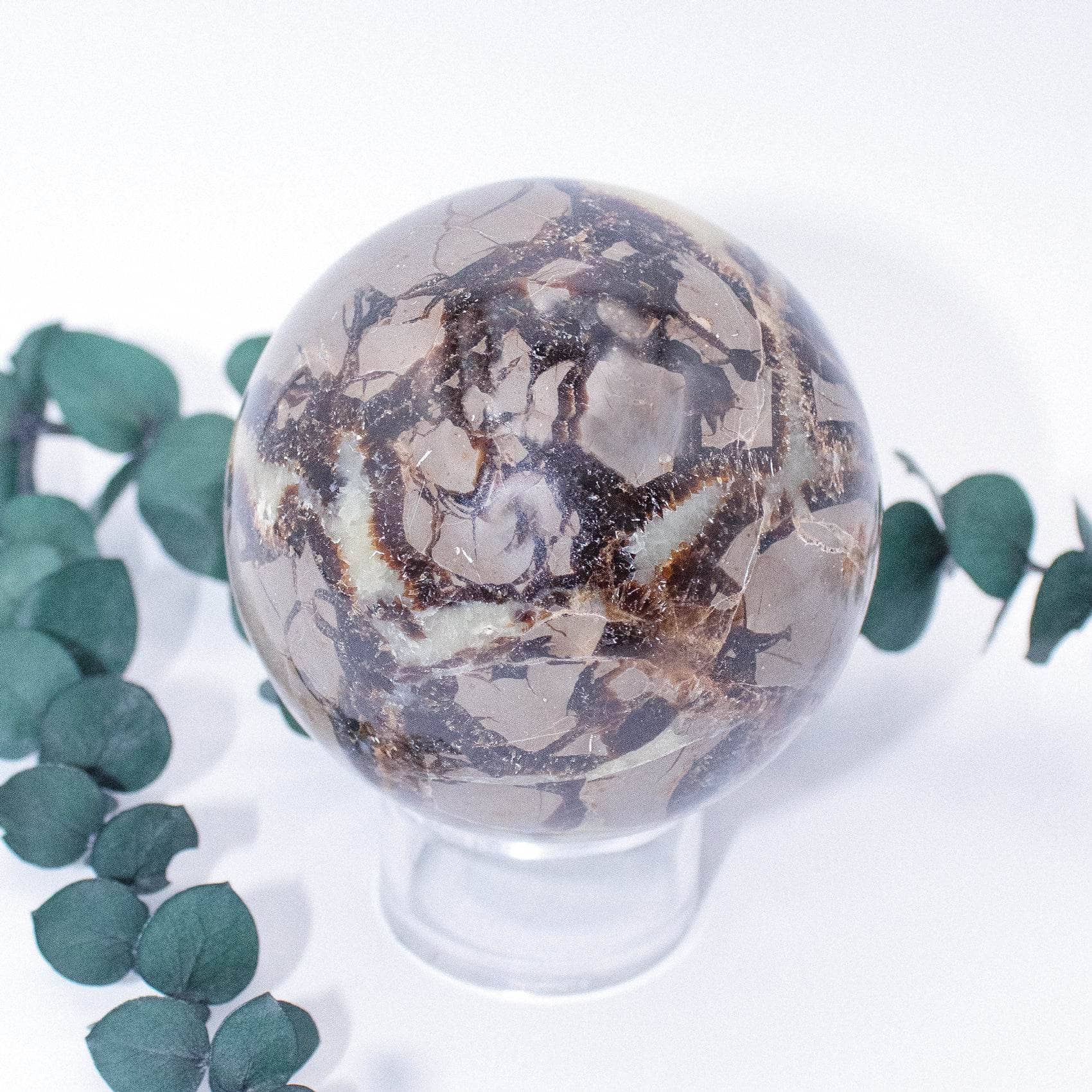Black Septarian Sphere - AAA Premium Quality - Image 11