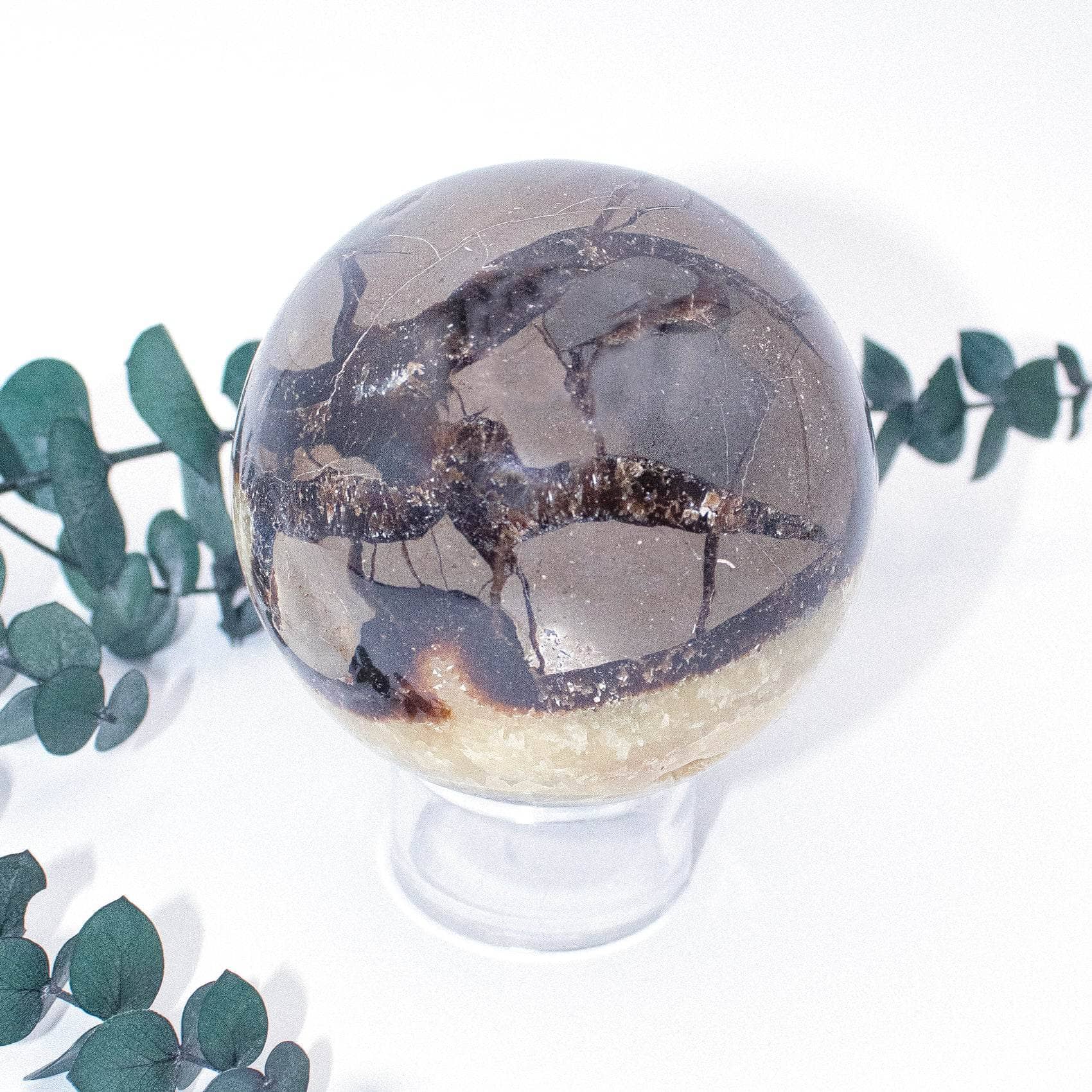 Black Septarian Sphere - AAA Premium Quality - Image 17