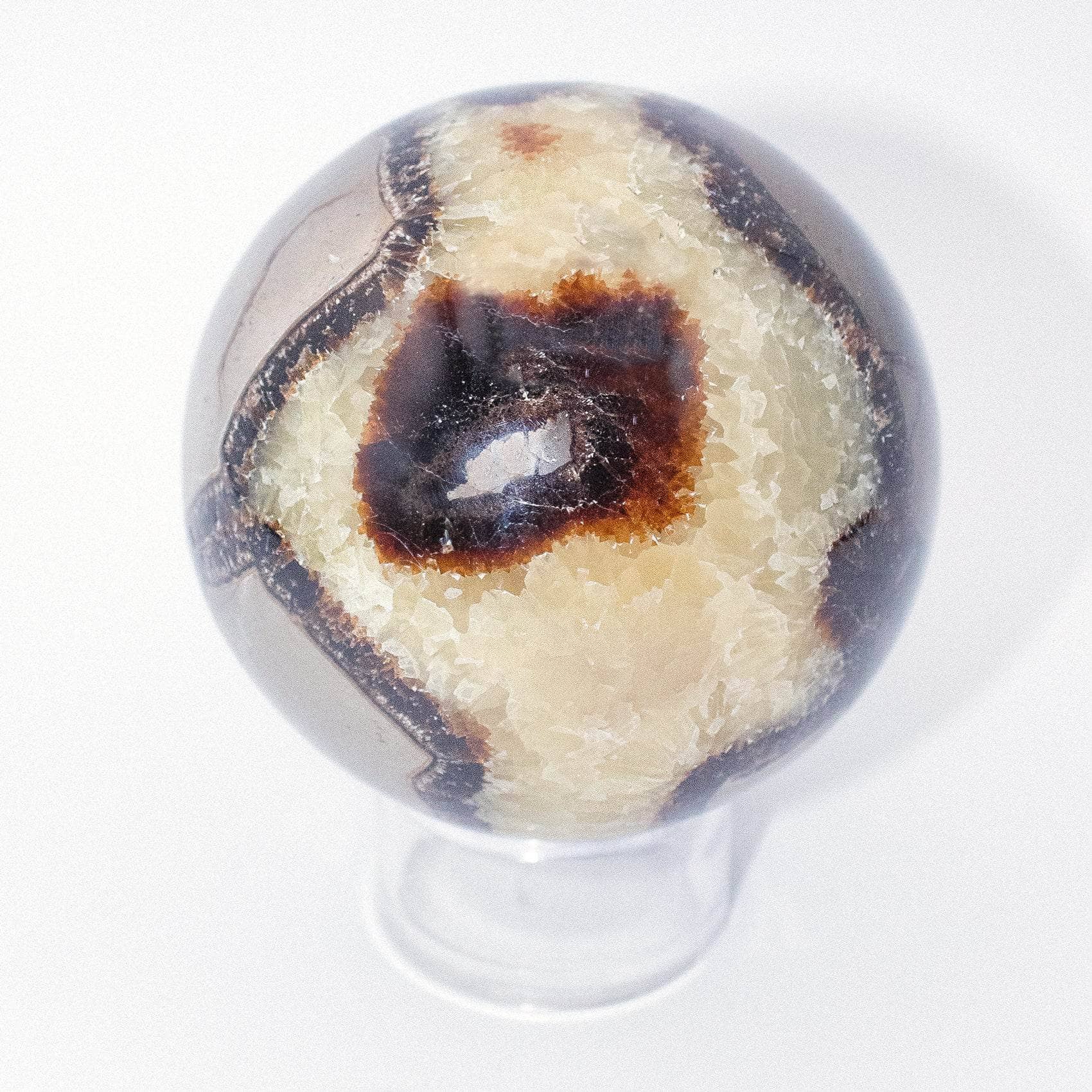 Black Septarian Sphere - AAA Premium Quality - Image 18