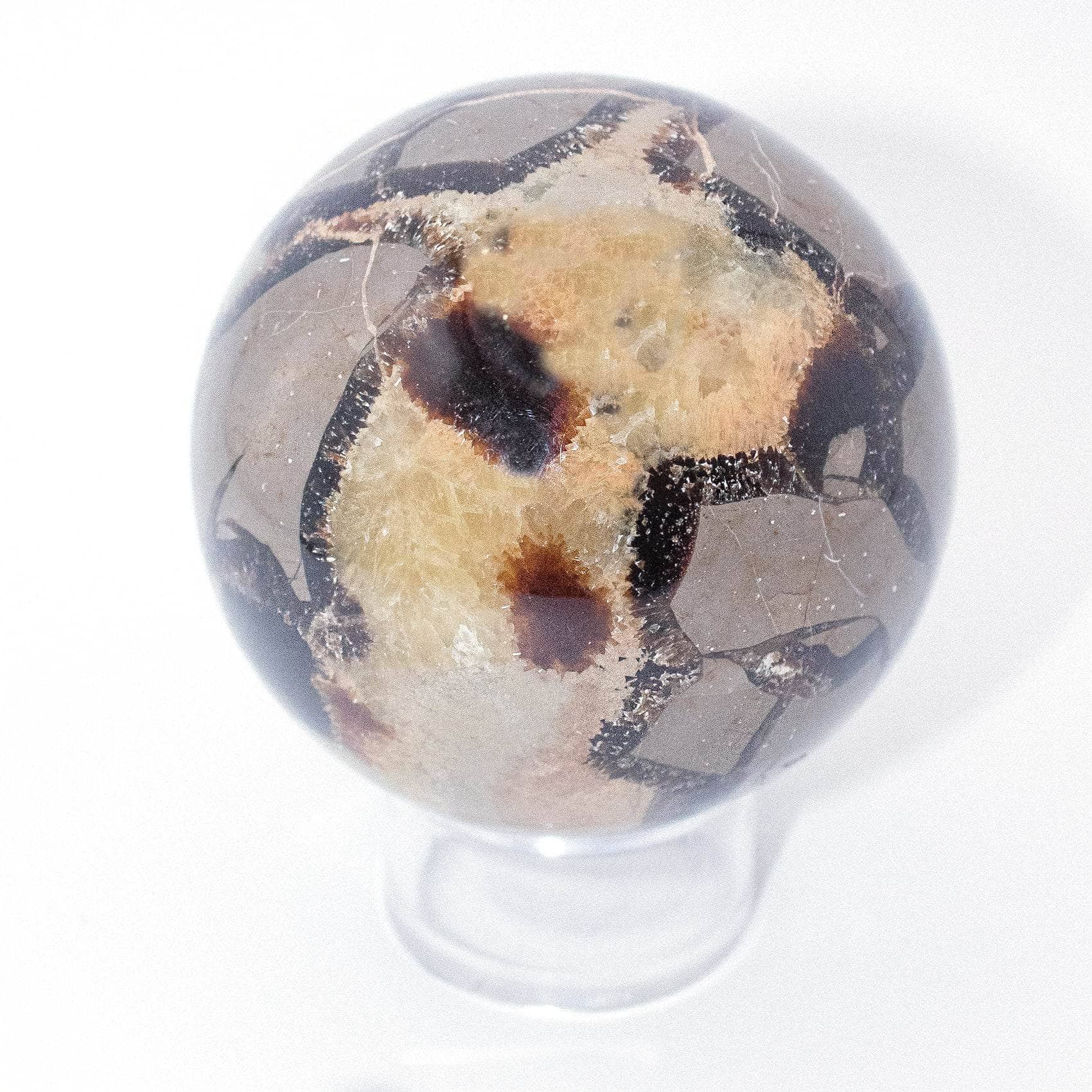 Black Septarian Sphere - AAA Premium Quality - Image 9