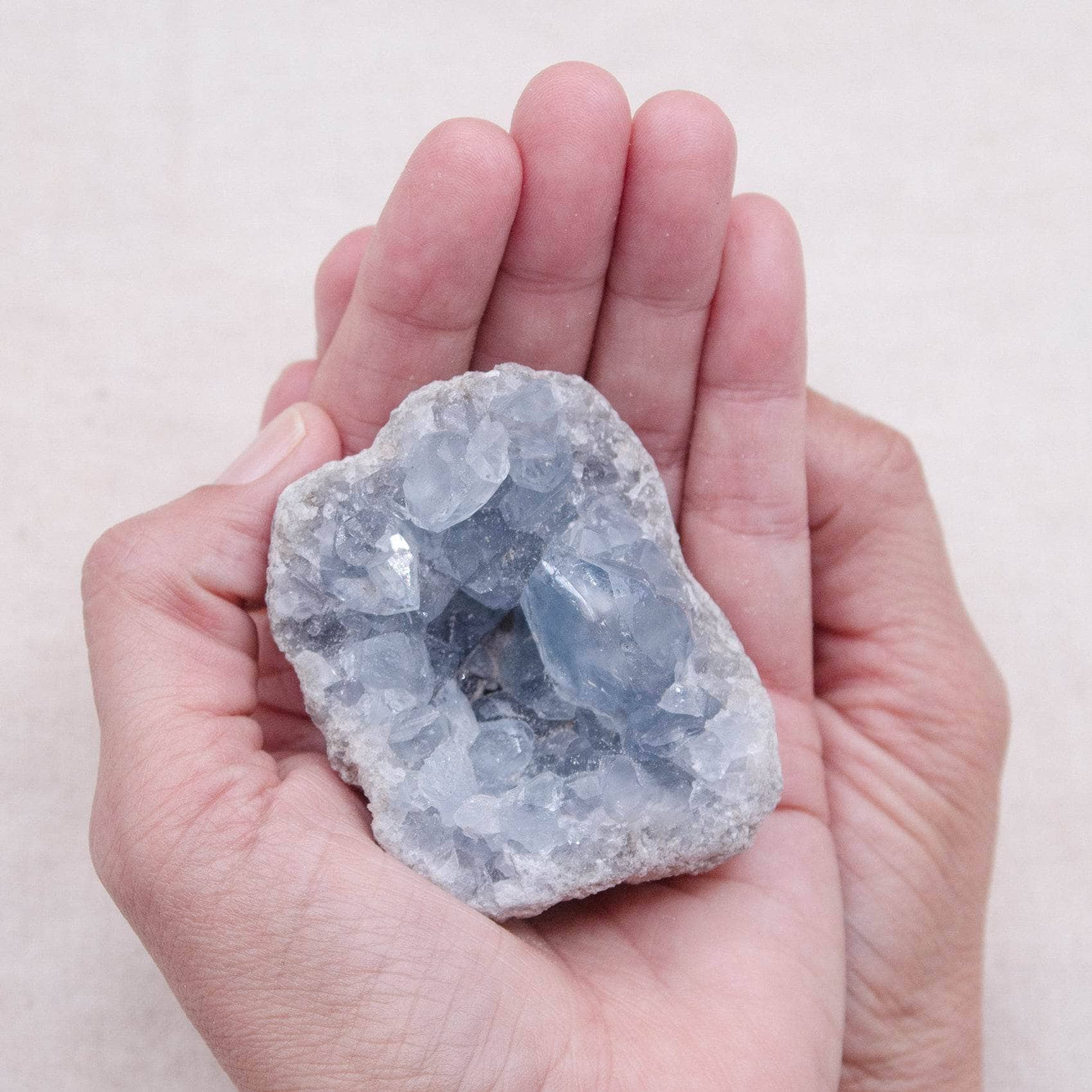 Celestine Geodes - Small - Brazilian Collection - Image 113