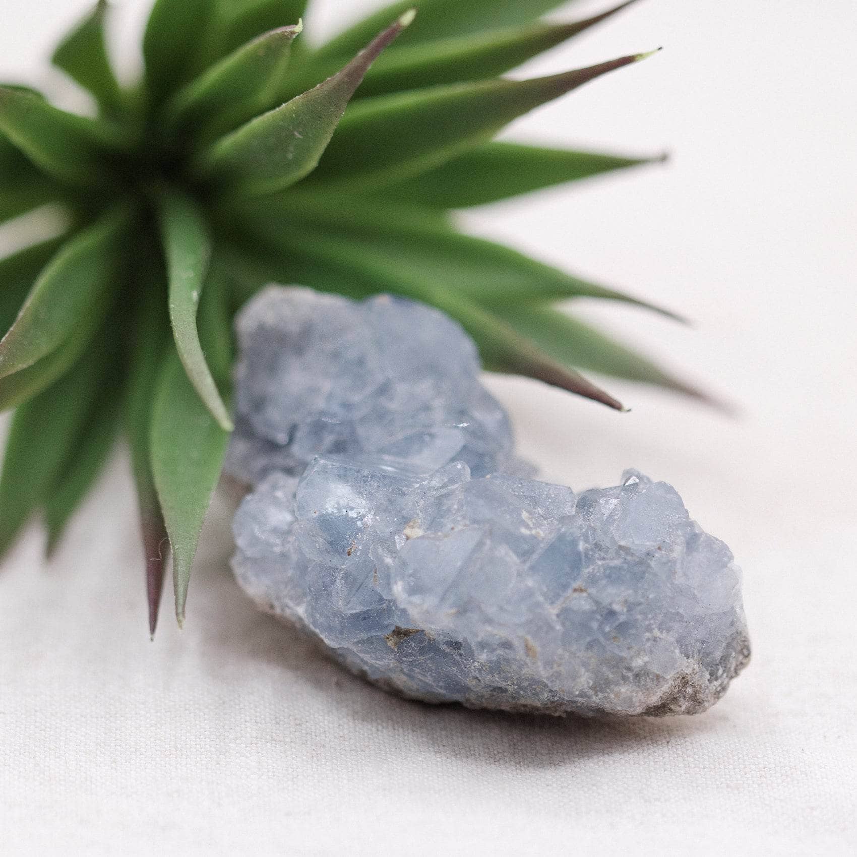 Celestine Geodes - Small - Brazilian Collection - Image 5