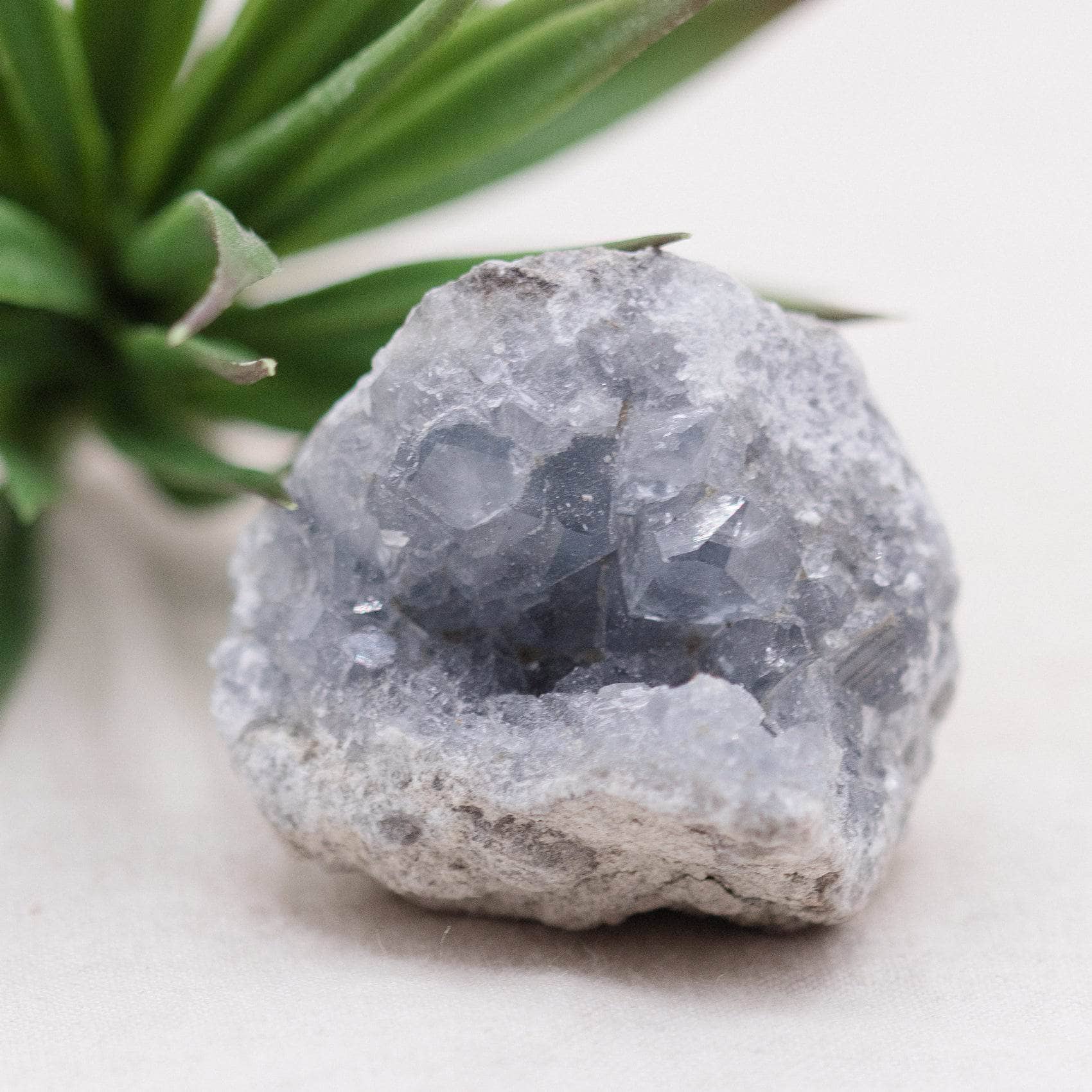 Celestine Geodes - Small - Brazilian Collection - Image 96