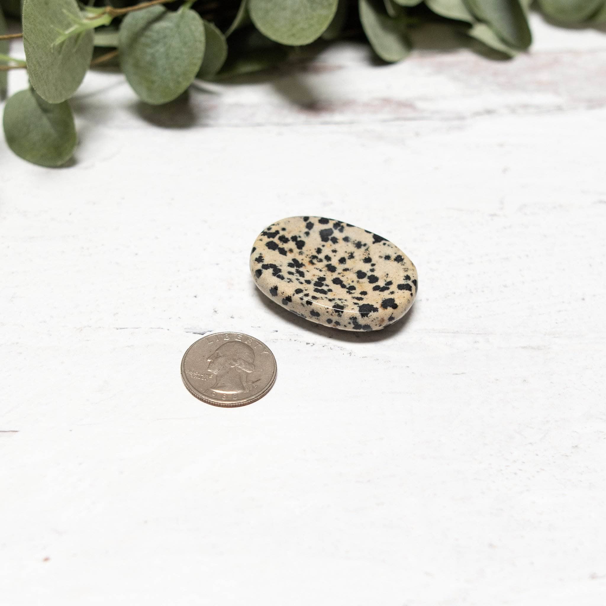 Dalmatian Jasper Worry Stone - Image 5