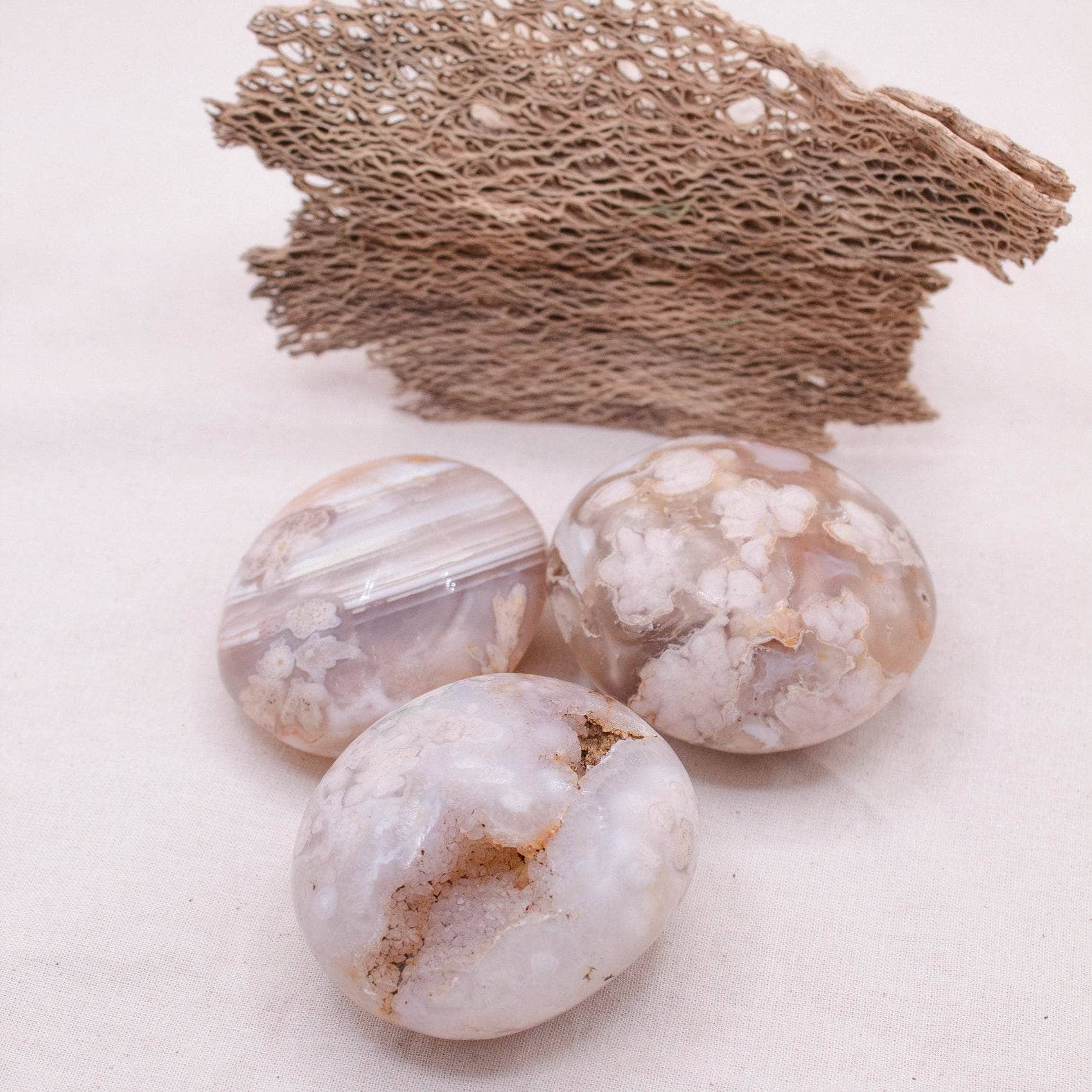 Natural Flower Agate Palm Stones - AAA Premium Quality - Image 9