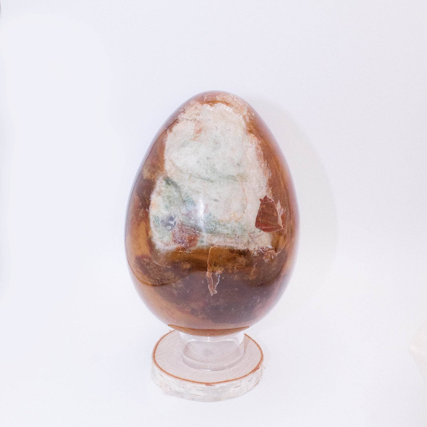 Petrified Wood Egg - AAA Premium Quality - Image 30
