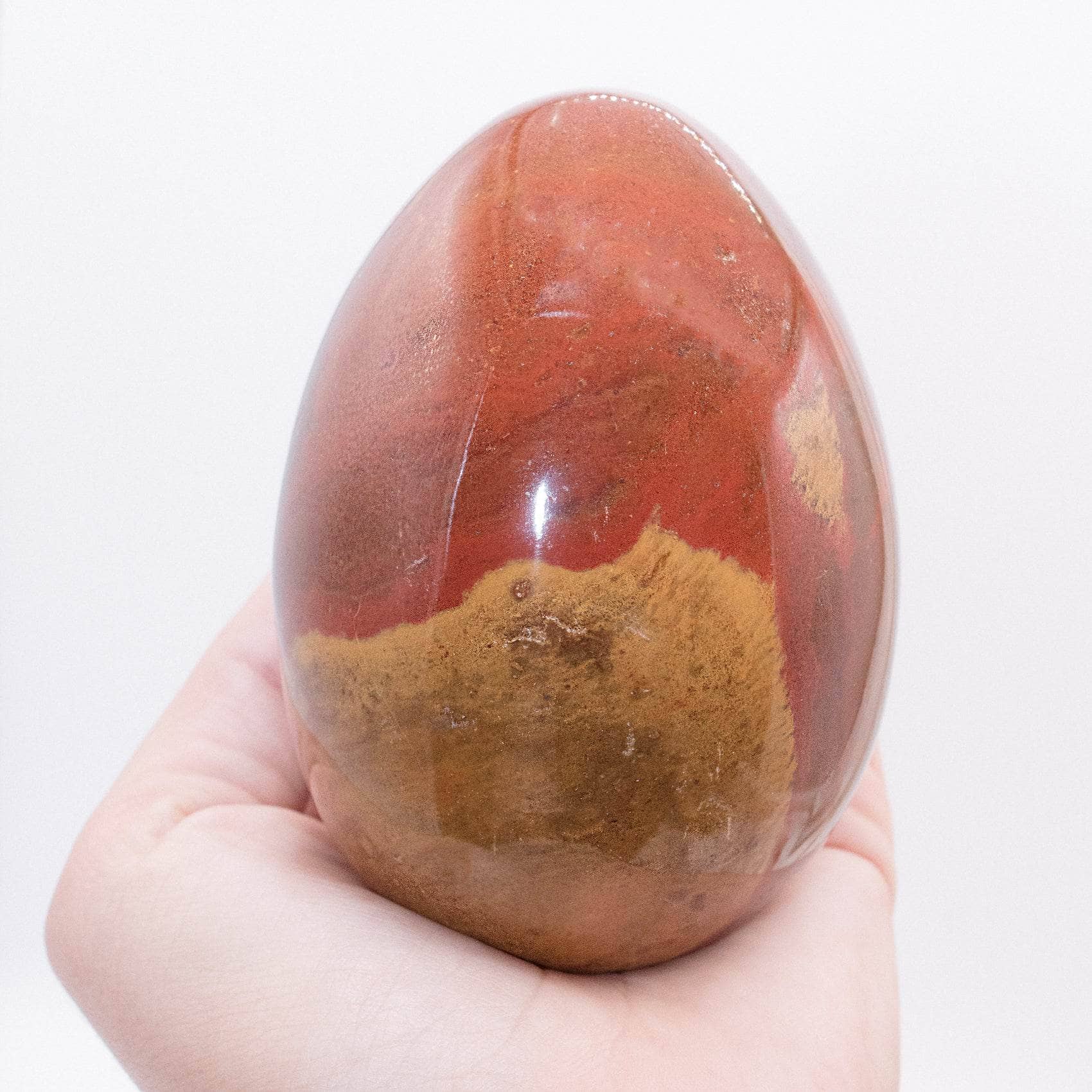 Petrified Wood Egg - AAA Premium Quality - Image 4