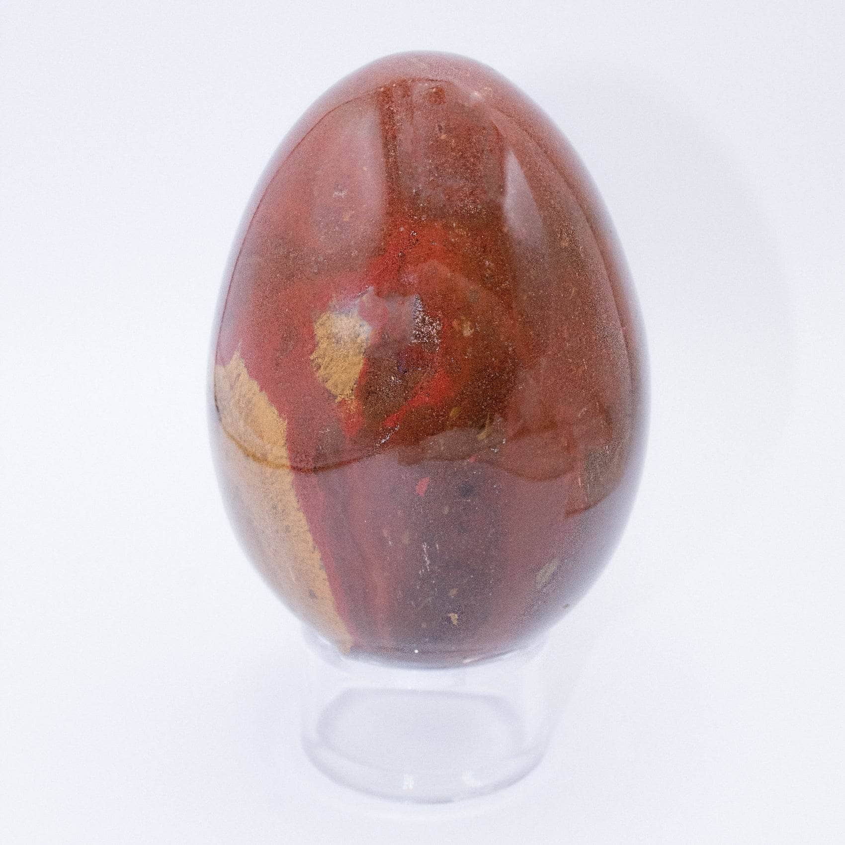 Petrified Wood Egg - AAA Premium Quality - Image 6