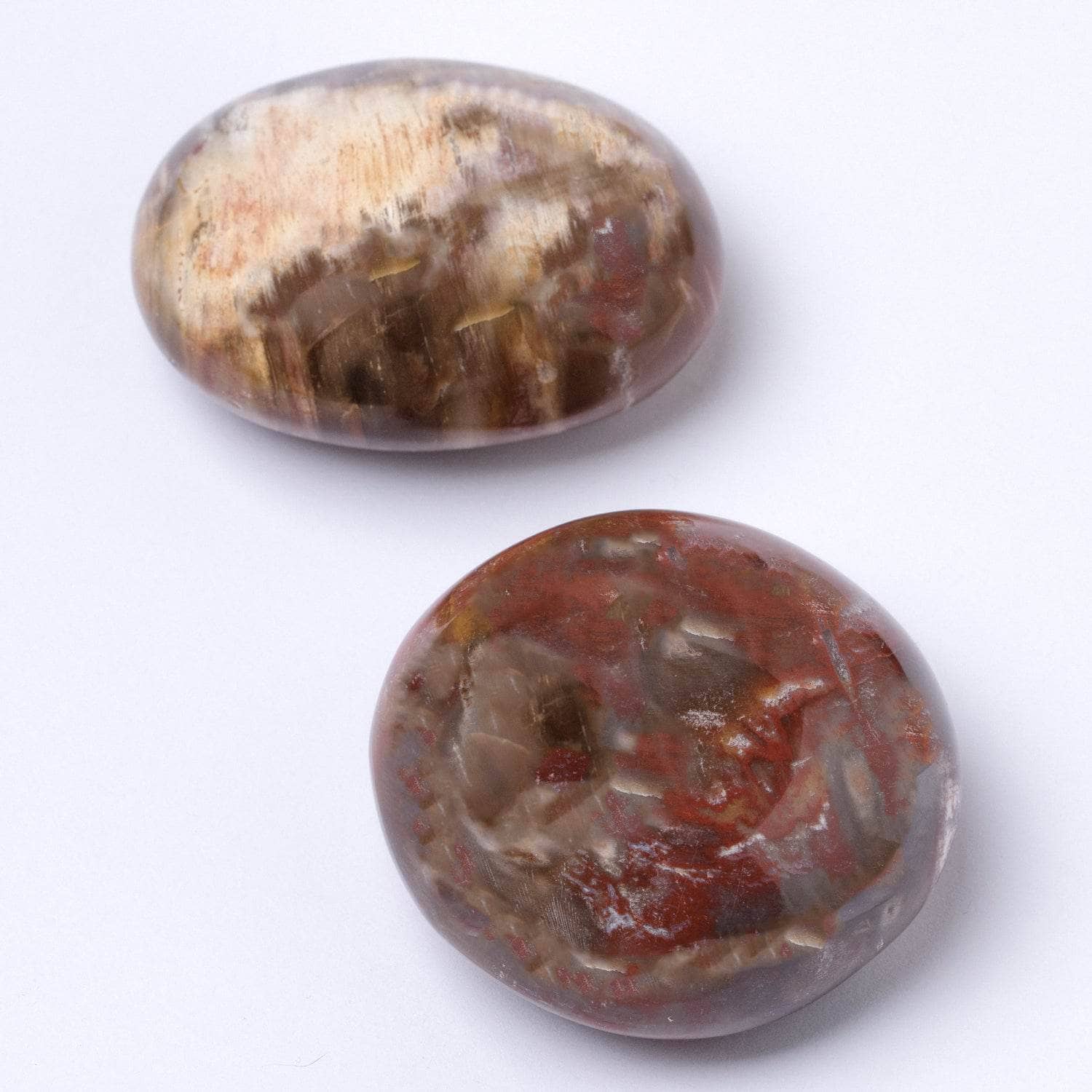 Petrified Wood Palm Stones - AAA Premium Quality - Image 13