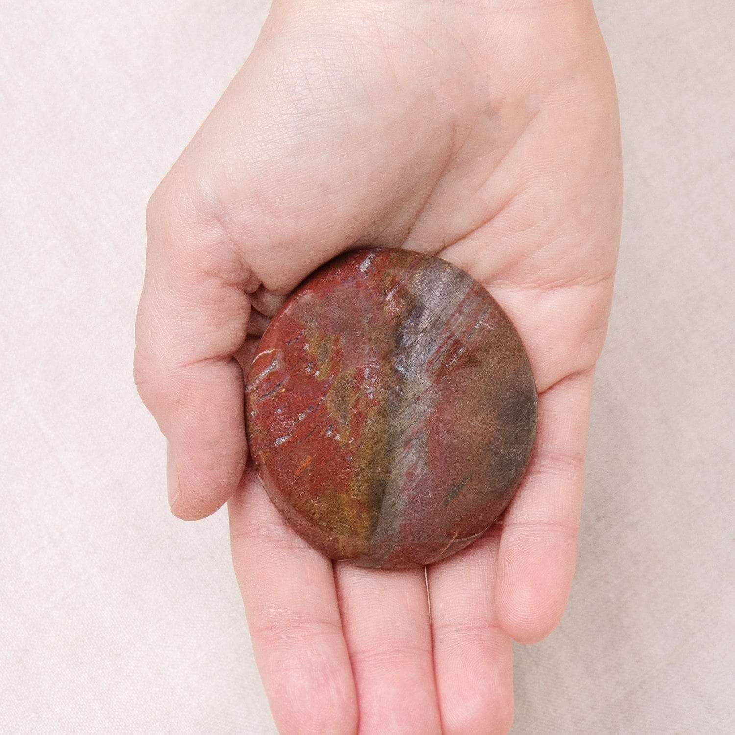 Petrified Wood Palm Stones - AAA Premium Quality - Image 2