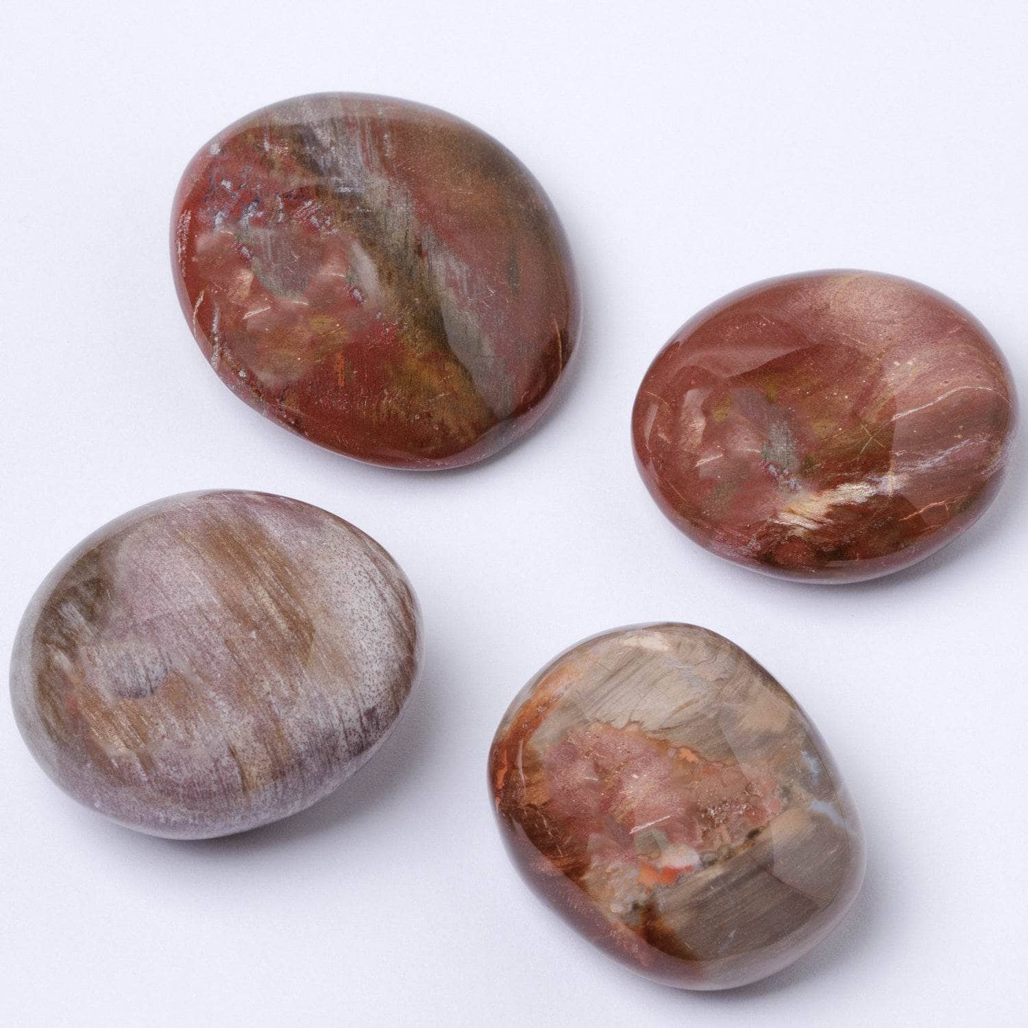 Petrified Wood Palm Stones - AAA Premium Quality - Image 3