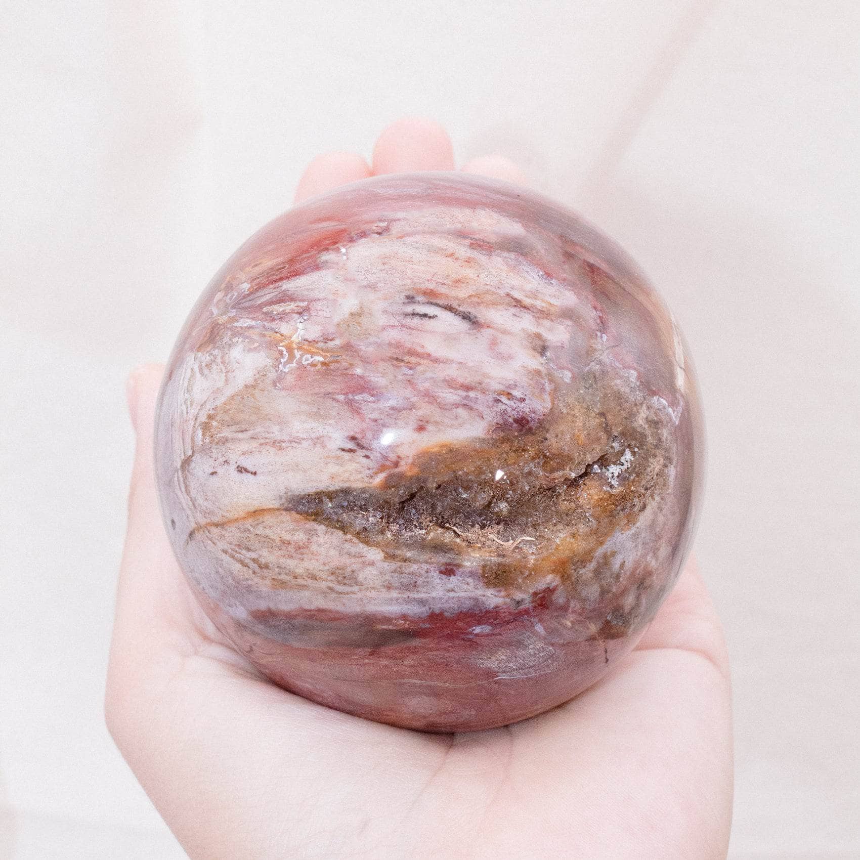 Petrified Wood Sphere - AAA Premium Quality - Image 37