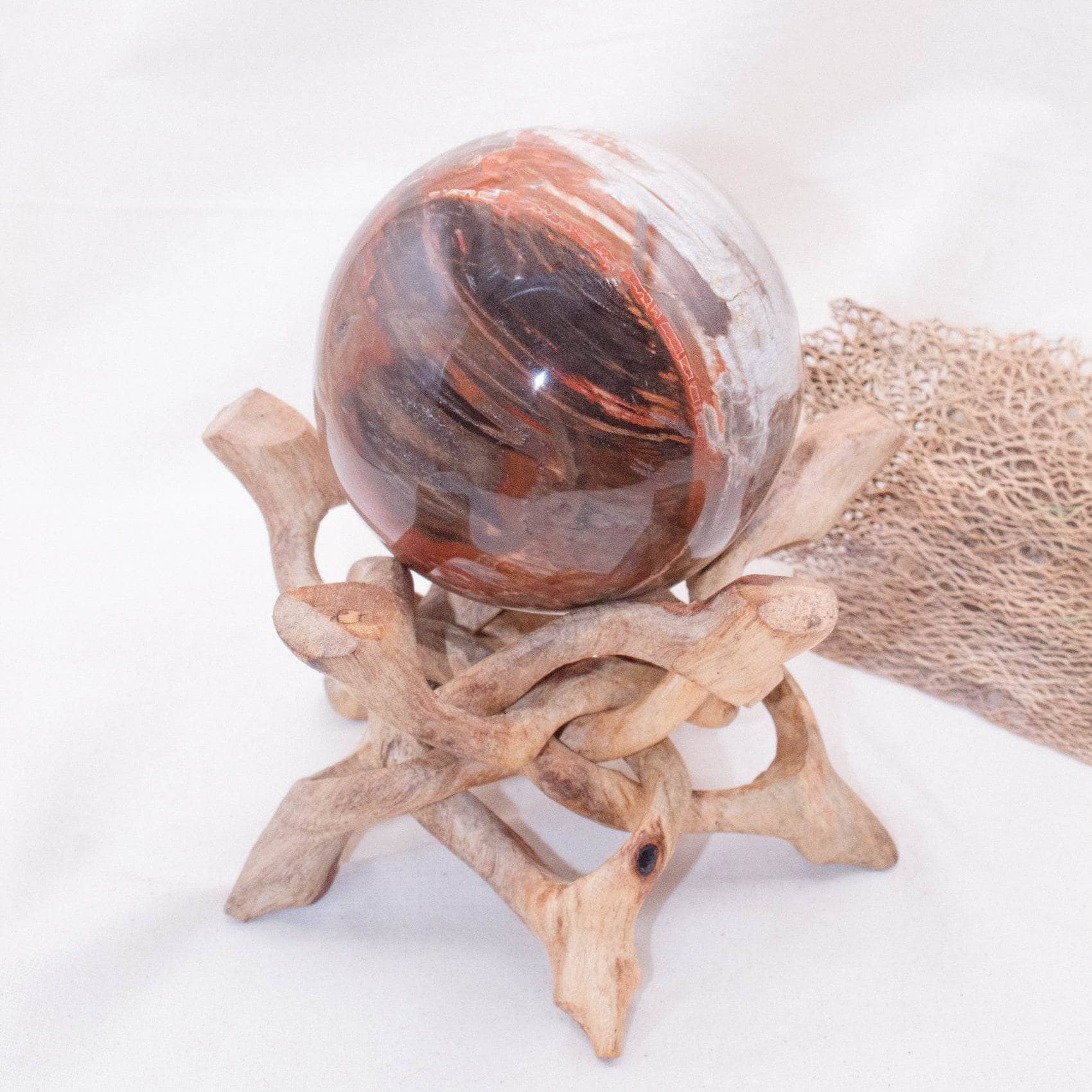 Petrified Wood Sphere - AAA Premium Quality - Image 46