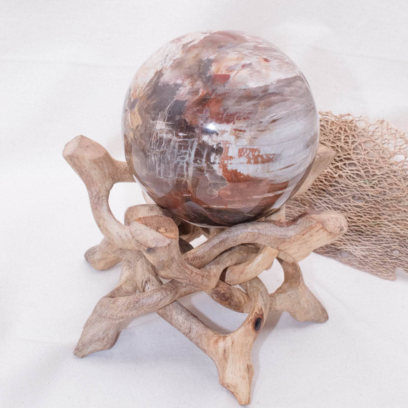 Petrified Wood Sphere - AAA Premium Quality - Image 47