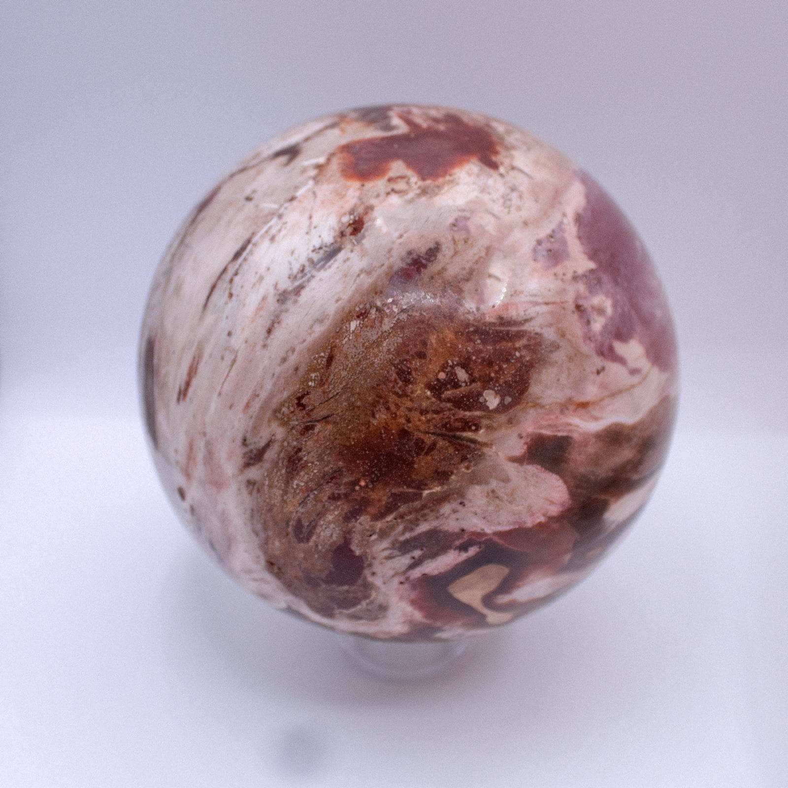Petrified Wood Sphere - AAA Premium Quality - Image 56